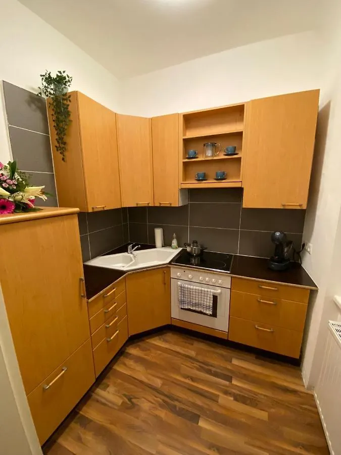 Gesamte Unterkunft In Zentrumsnaehe Vienna Apartment
